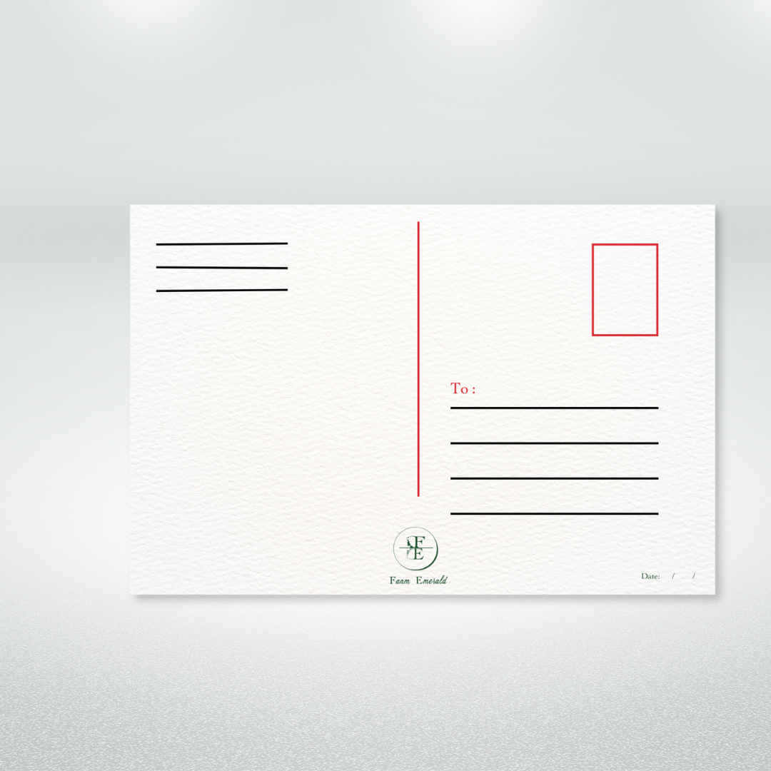 Happy Valentine's Day Postcard Style Greeting Card