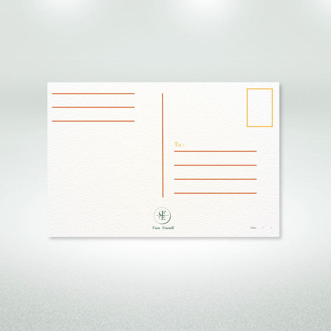 Happy Thanksgiving Postcard Style Greeting Card