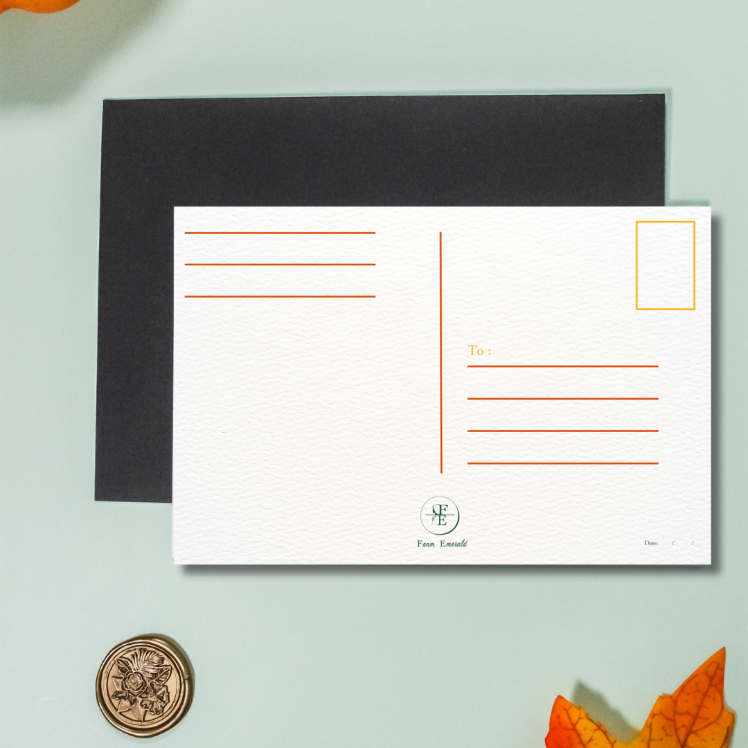 Happy Thanksgiving Bundle - Set of 5