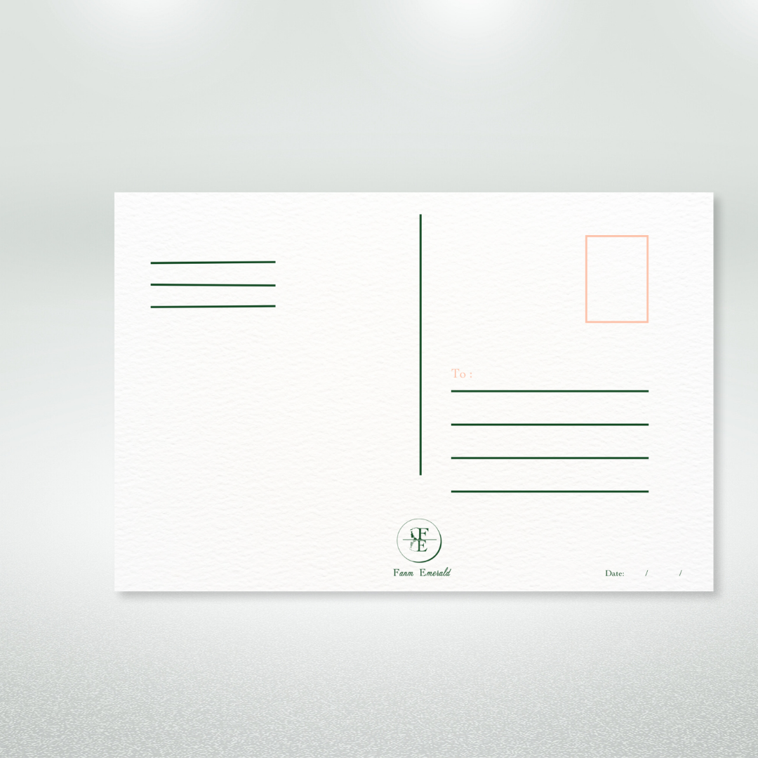 Congrats to the Newlyweds Postcard Style Greeting Card