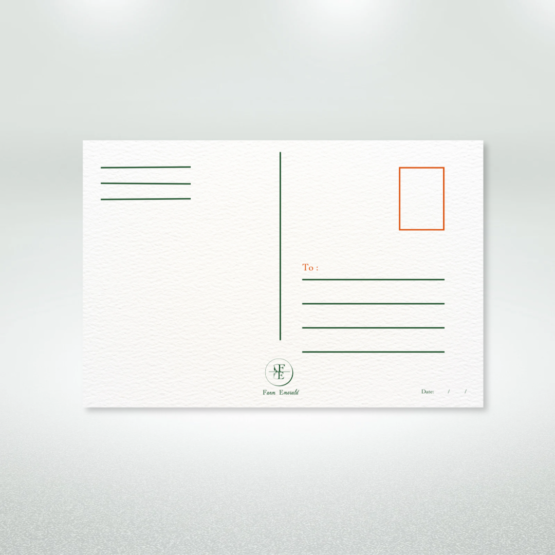 Tropical Christmas in July Postcard Style Greeting Card
